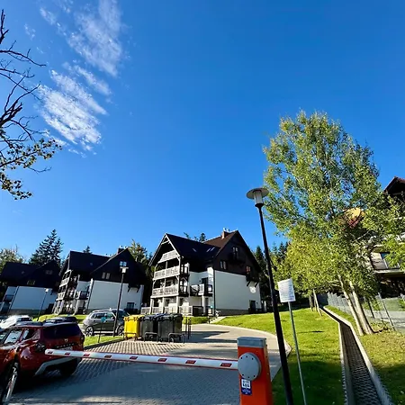 Apartamento W Naturze - Dla Aktywnych Z Widokiem Na Las, Szlaki, Rowery, Biegówki, Blisko Jakuszyc I Czech