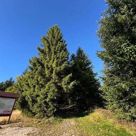 W Naturze - Dla Aktywnych Z Widokiem Na Las, Szlaki, Rowery, Biegówki, Blisko Jakuszyc I Czech * Szklarska Poręba