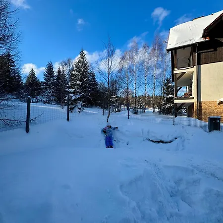 W Naturze - Dla Aktywnych Z Widokiem Na Las, Szlaki, Rowery, Biegówki, Blisko Jakuszyc I Czech Szklarska Poręba