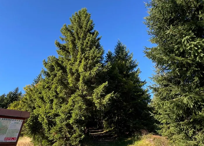 W Naturze - Dla Aktywnych Z Widokiem Na Las, Szlaki, Rowery, Biegowki, Blisko Jakuszyc I Czech * 斯克拉斯卡波伦巴